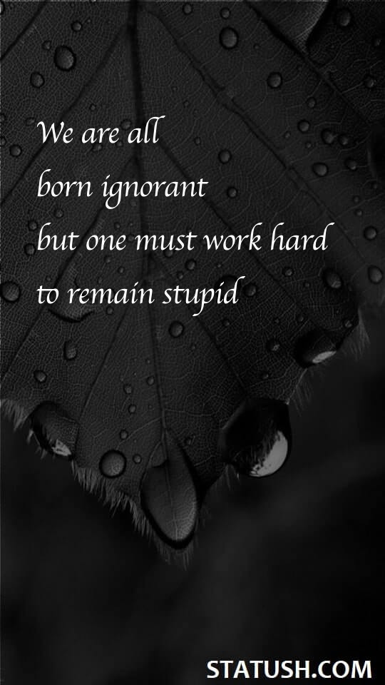 We are all born ignorant