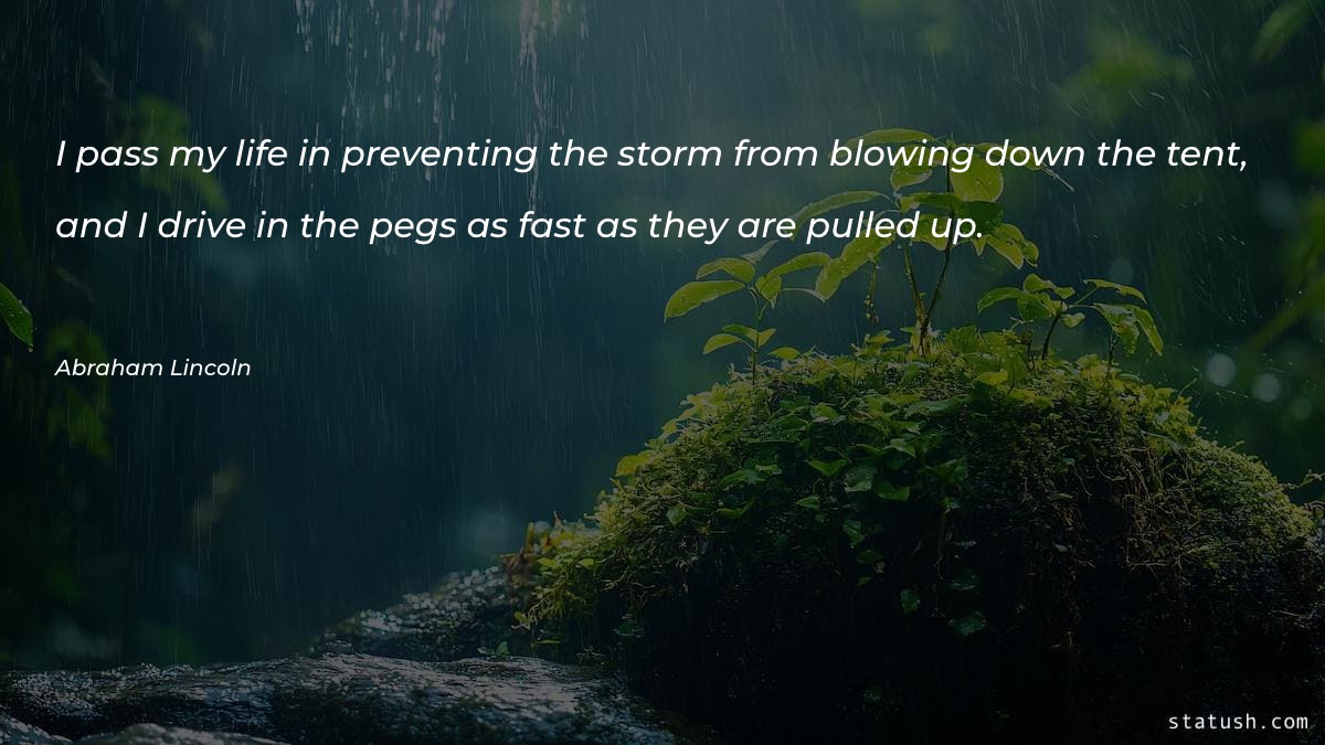 I pass my life in preventing the storm - Motivational Quotes at statush.com