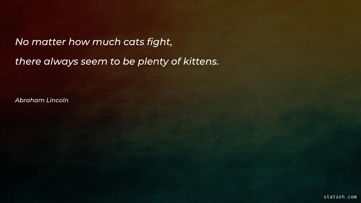 No matter how much cats fight - Motivational Quotes at statush.com