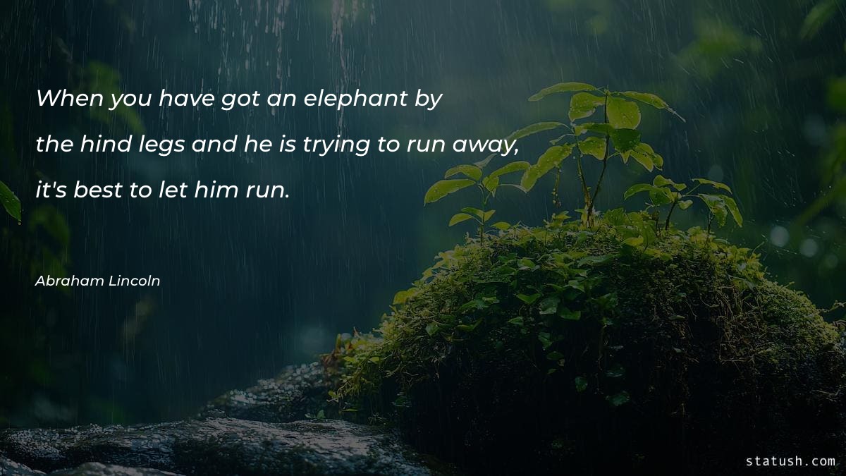 When you have got an elephant Motivational Quotes at statush.com