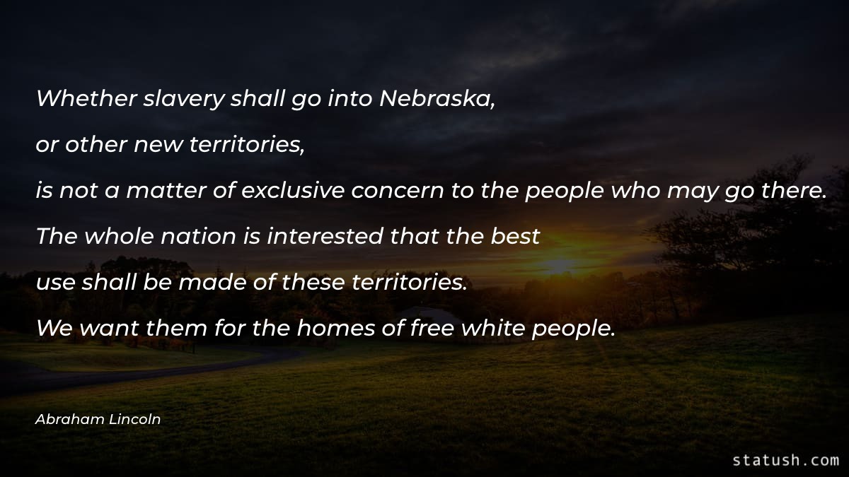 Whether slavery shall go into Nebraska - Motivational Quotes at statush.com