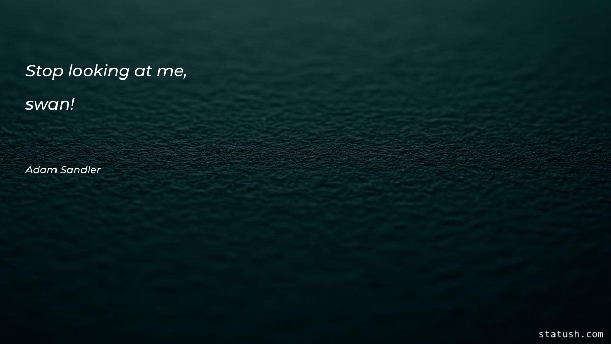 Stop looking at me, swan Motivational Quotes at statush.com