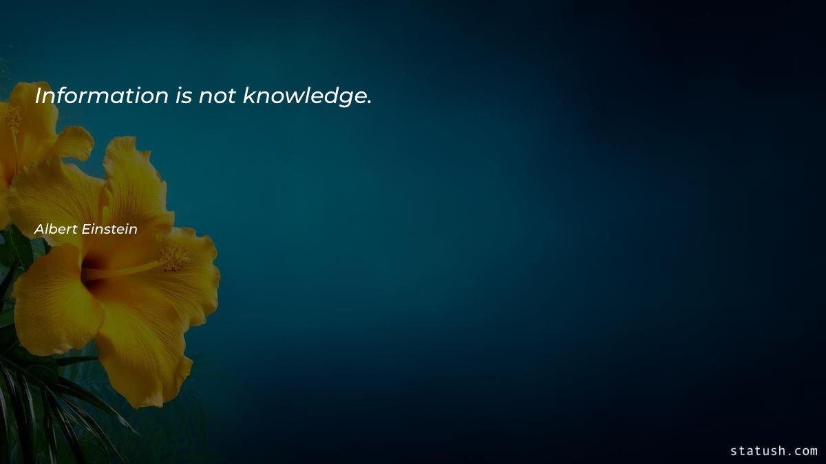 Information is not knowledge - Motivational Quotes at statush.com