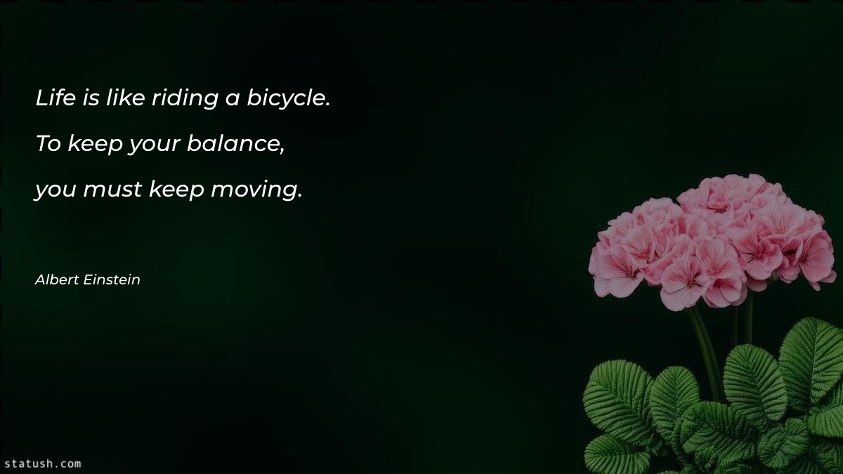 Life is like riding a bicycle Motivational Quotes at statush.com
