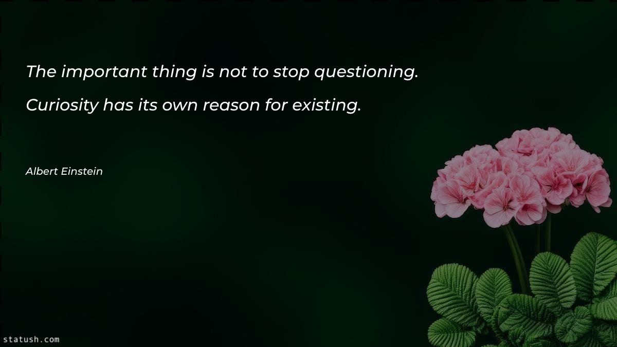 The important thing is not to stop Motivational Quotes at statush.com