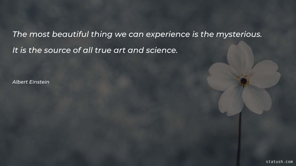 The most beautiful thing Motivational Quotes at statush.com