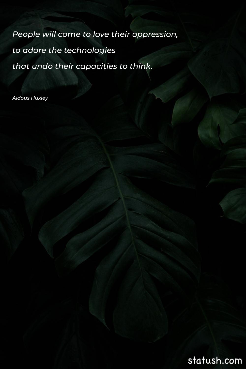 People will come to love Motivational Quotes at statush.com