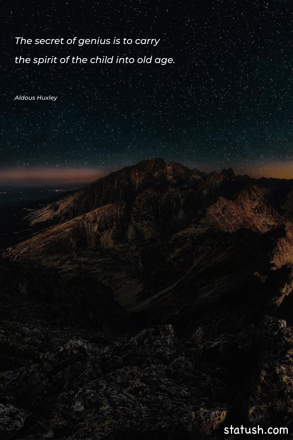 The secret of genius is Motivational Quotes at statush.com