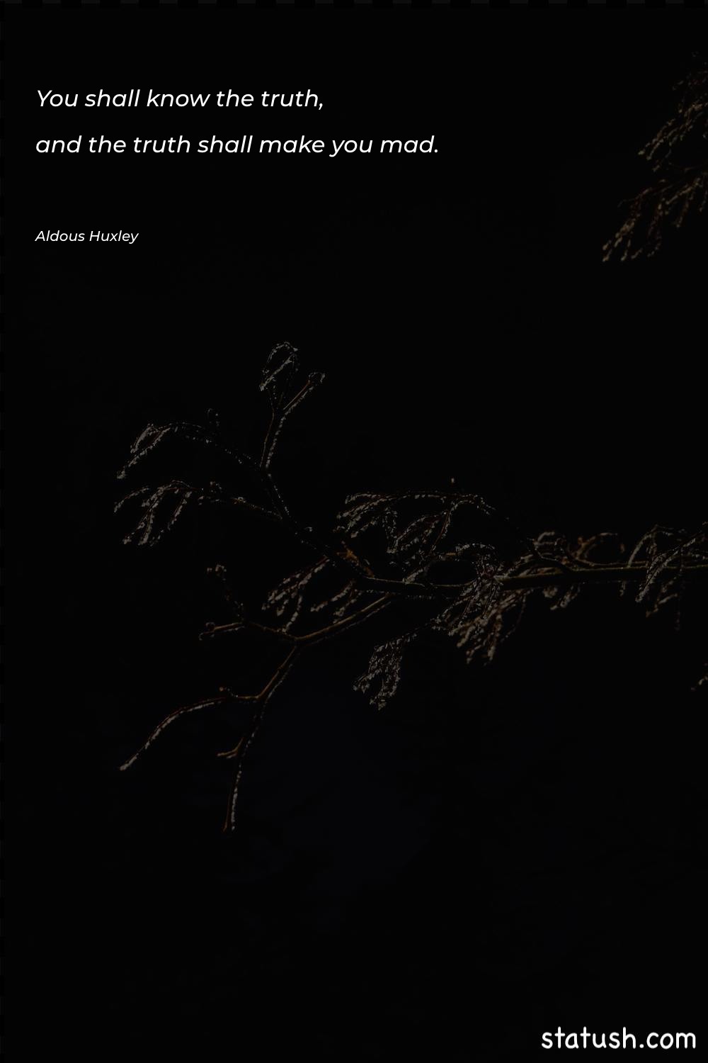 You shall know the truth Motivational Quotes at statush.com