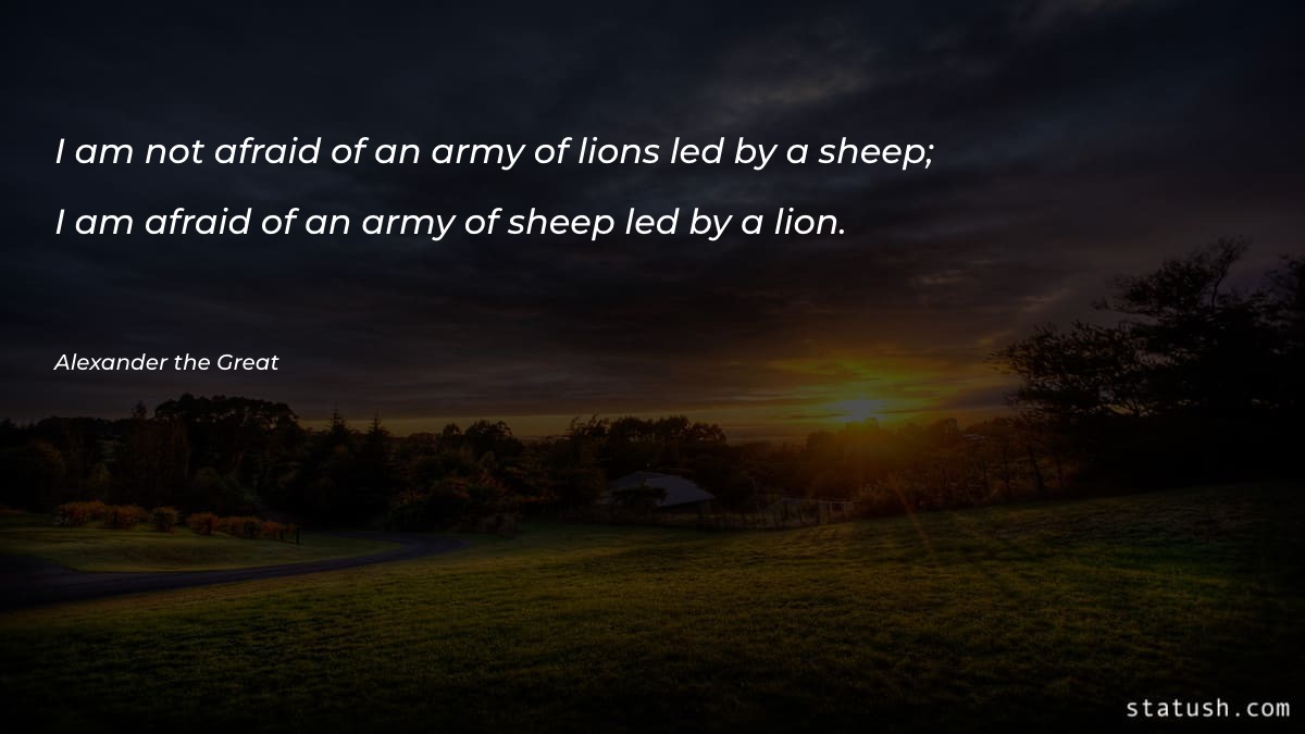 I am not afraid of - Motivational Quotes at statush.com