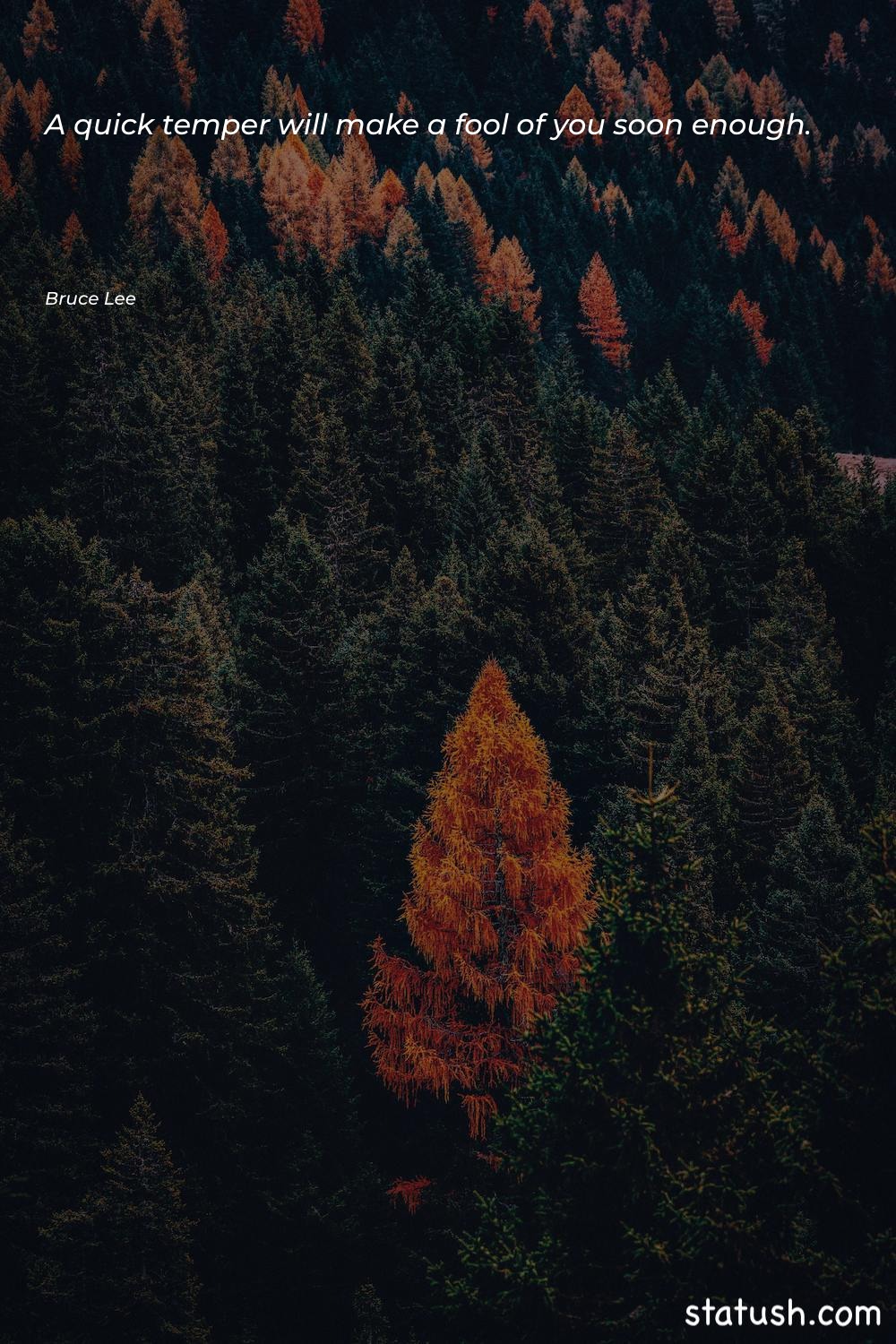 A quick temper will make Truth Quotes at statush.com