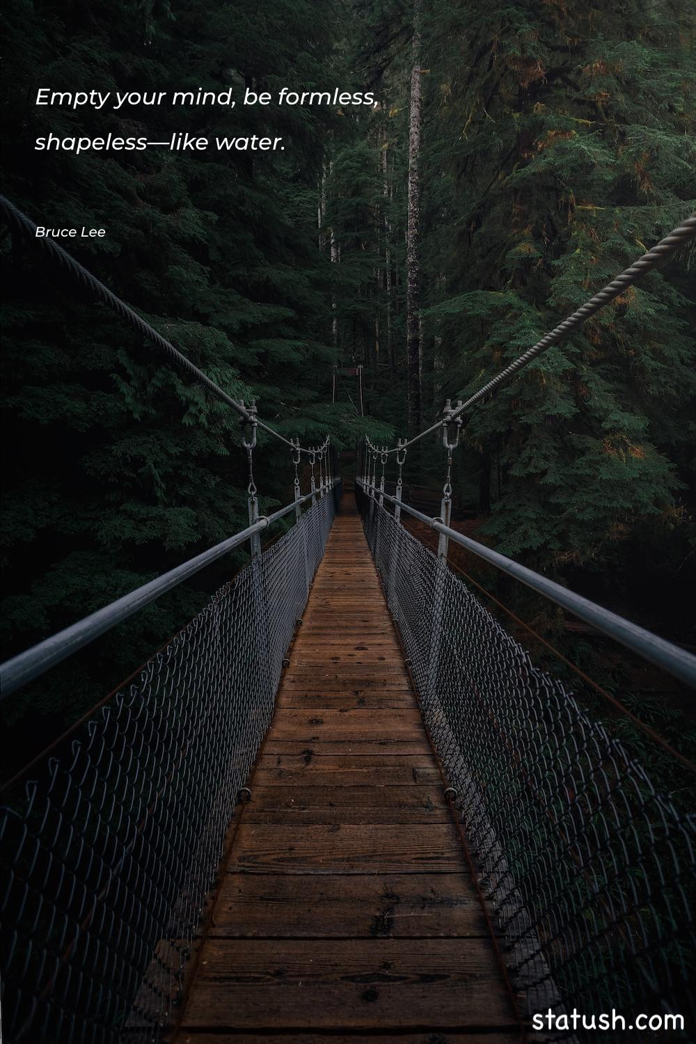 Empty your mind, be formless Hope Quotes at statush.com