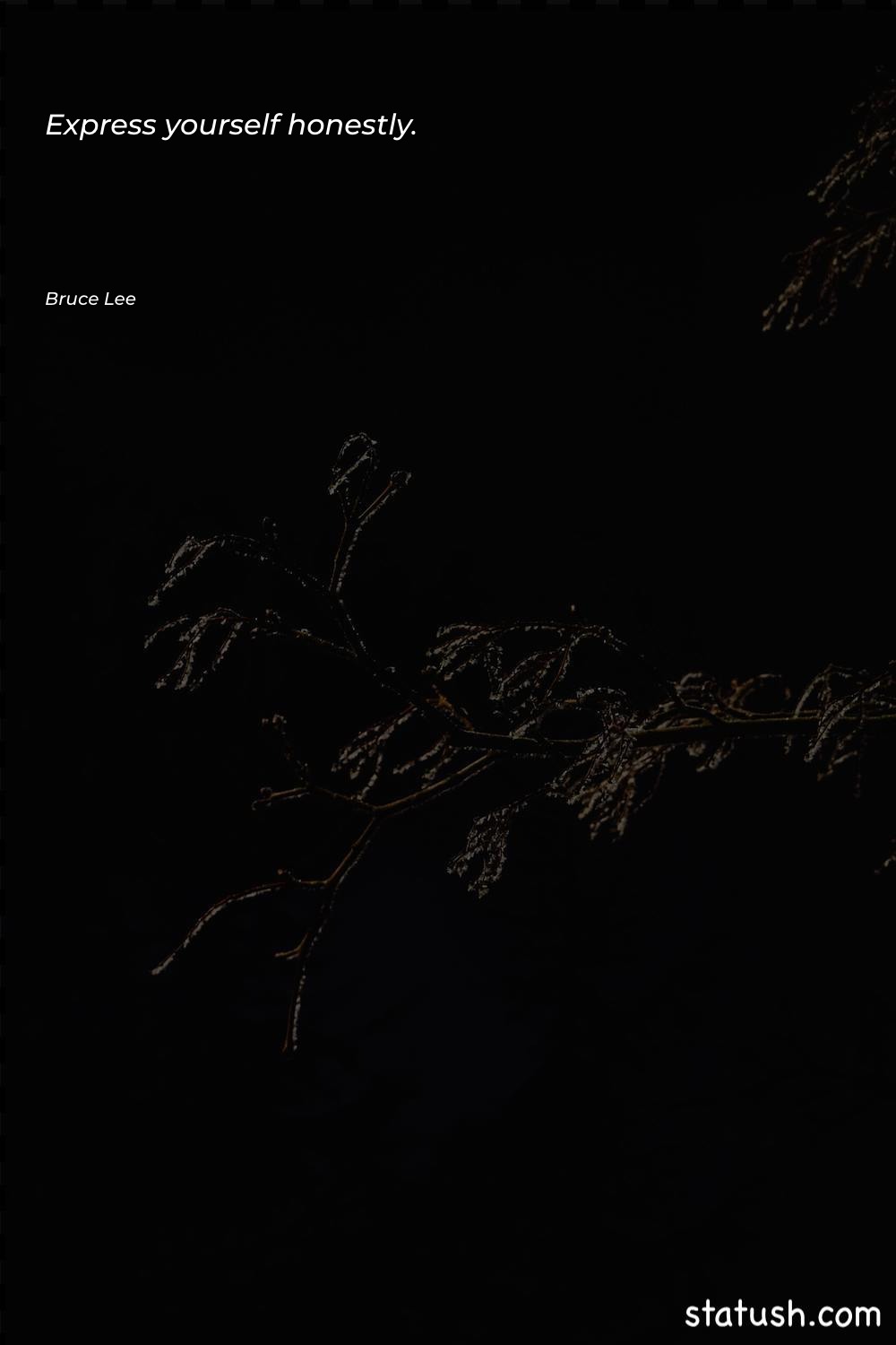 Express yourself honestly Inspiration Quotes at statush.com