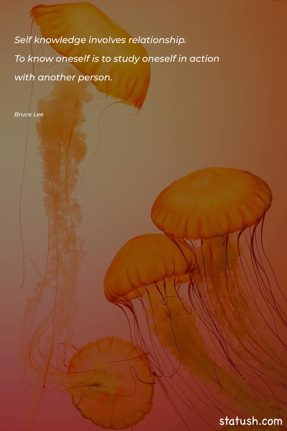 Self-knowledge involves relationship. To know