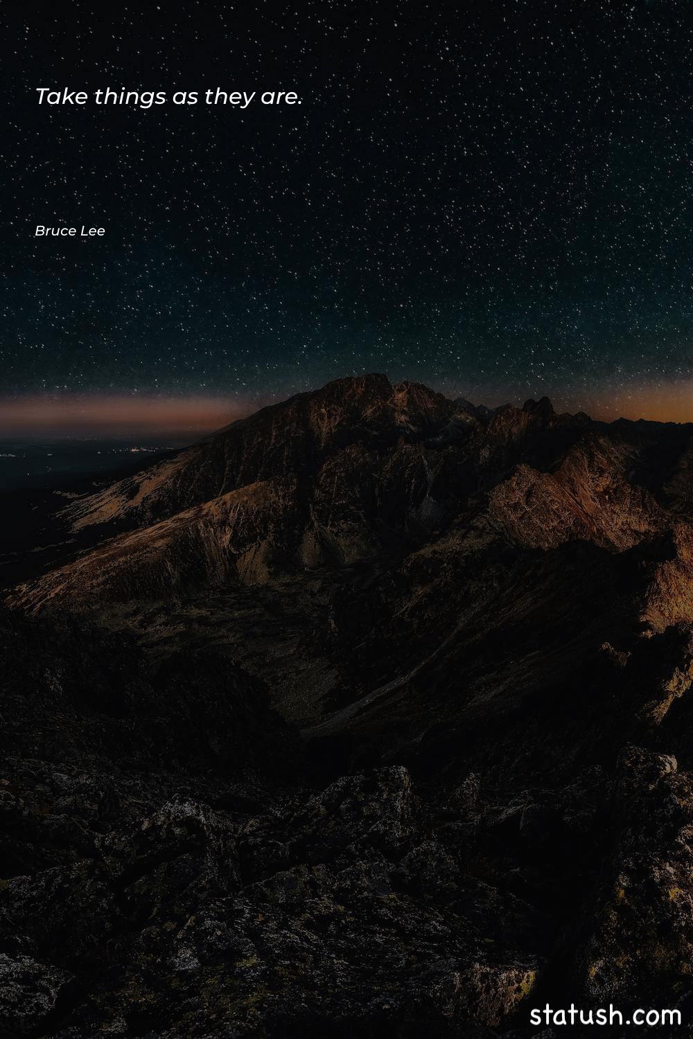 Take things as they are