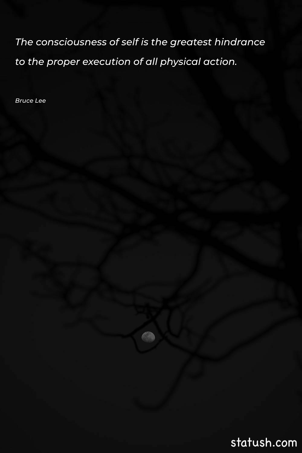 The consciousness of self is Motivational Quotes at statush.com