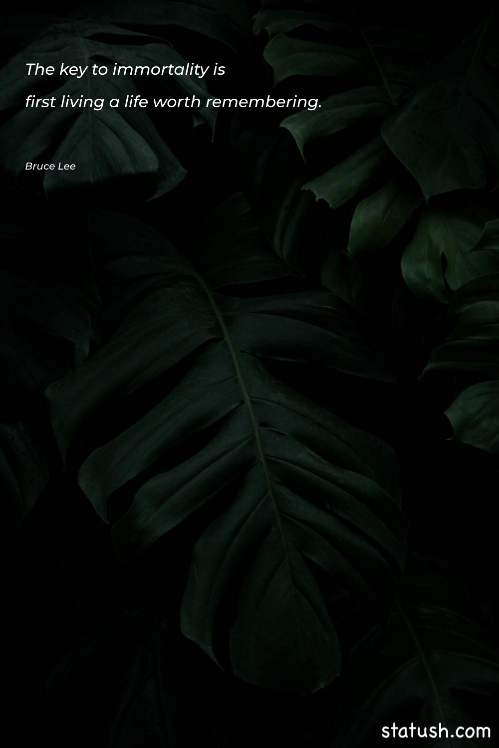 The key to immortality is