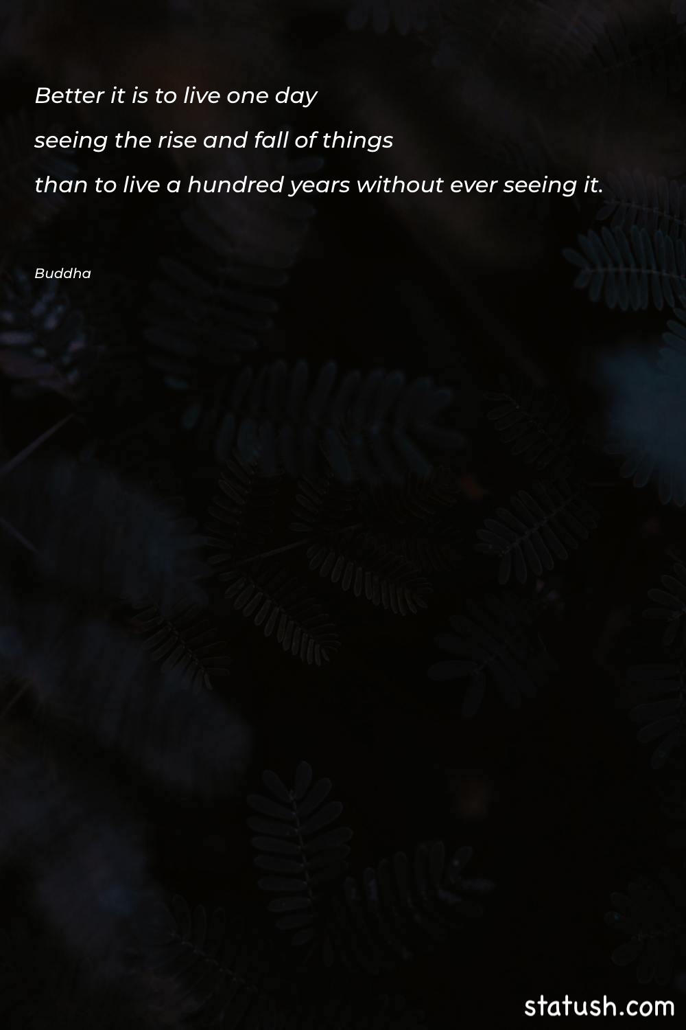 Better it is to live Life Quotes at statush.com