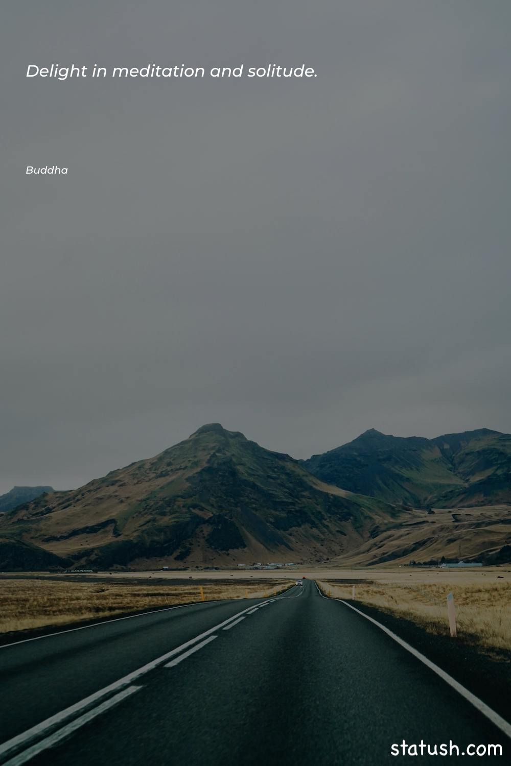 Delight in meditation and solitude