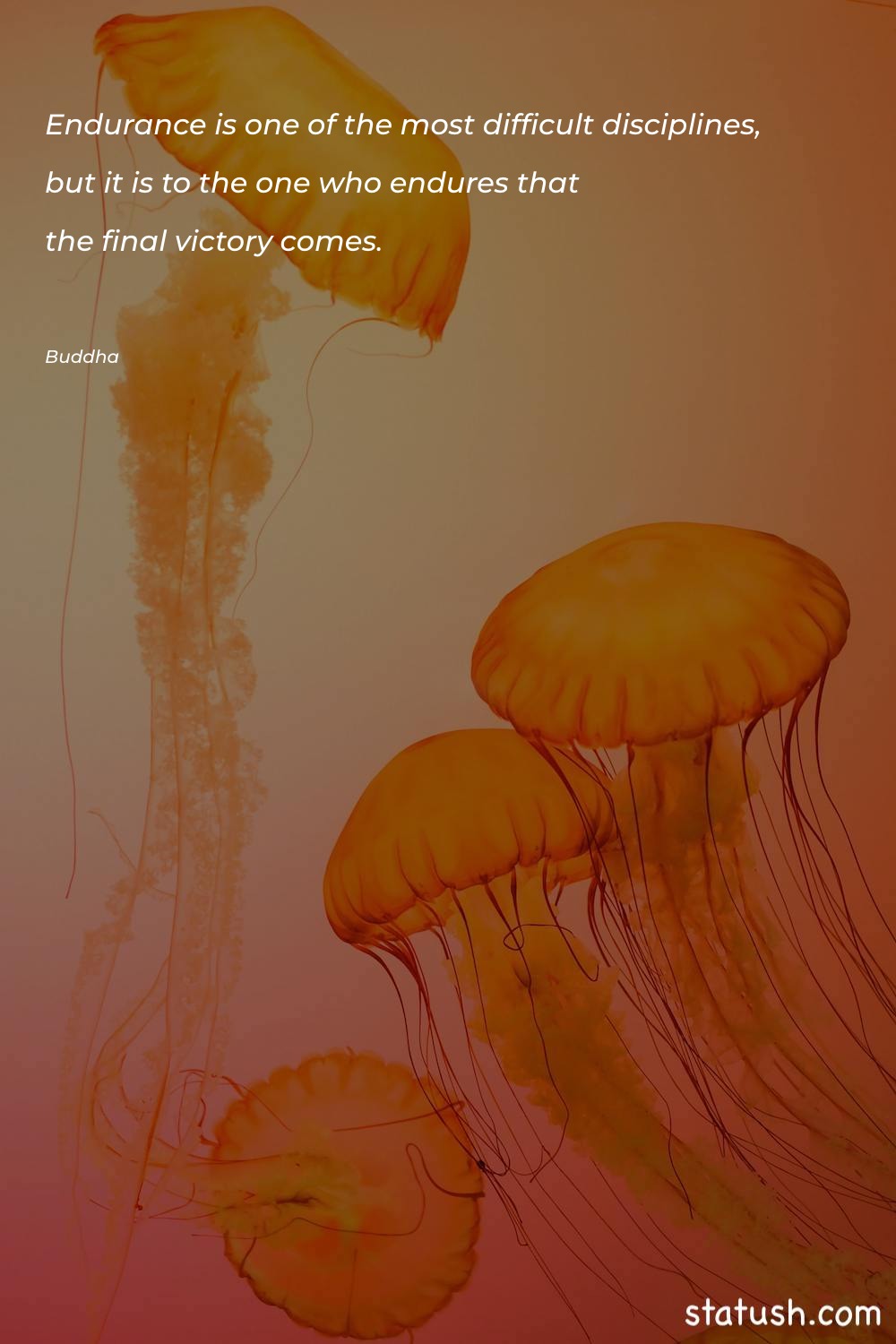 Endurance is one of the