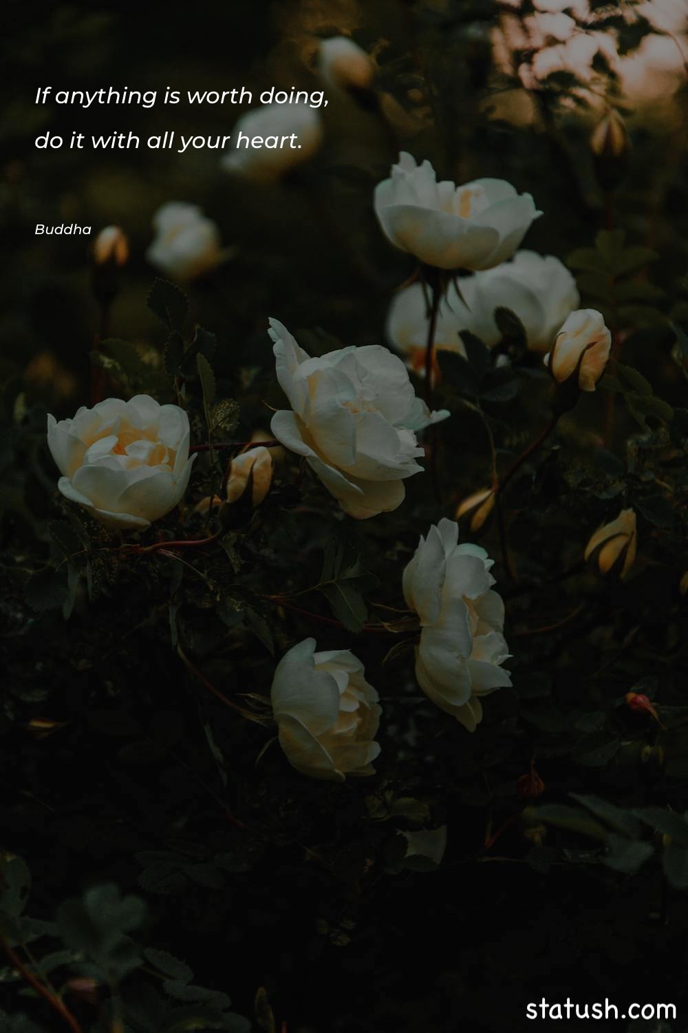 If anything is worth doing Inspiration Quotes at statush.com