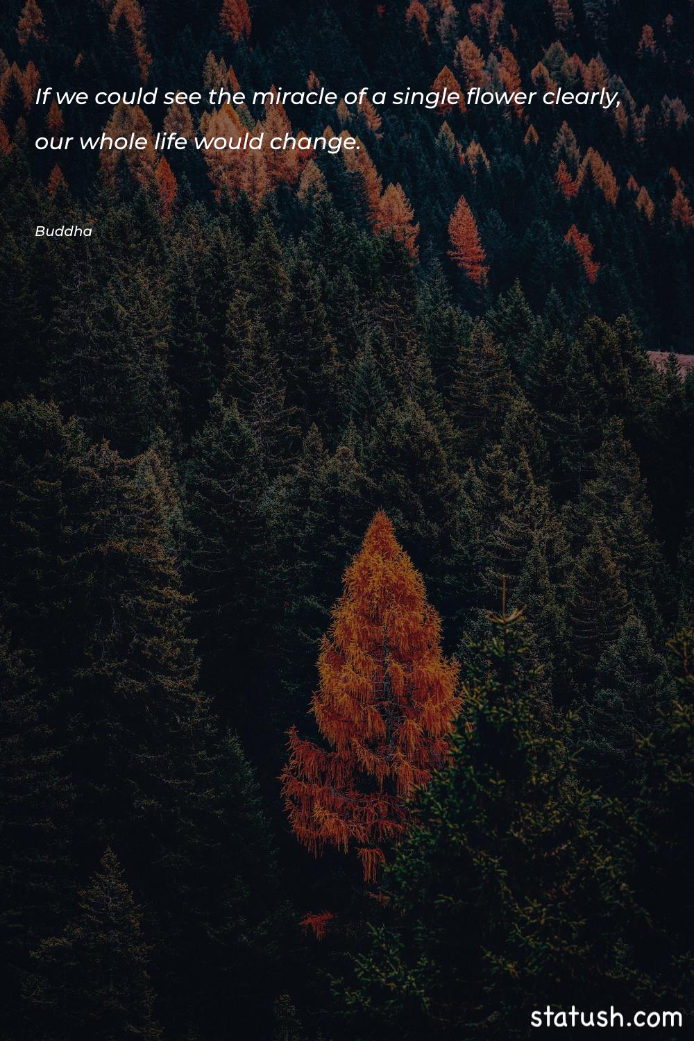 If we could see the Change Quotes at statush.com