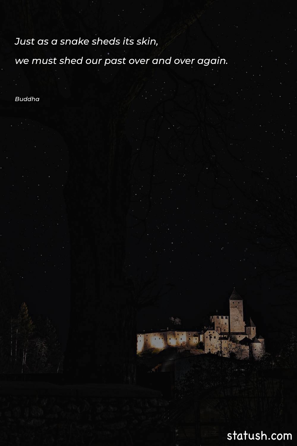 Just as a snake sheds