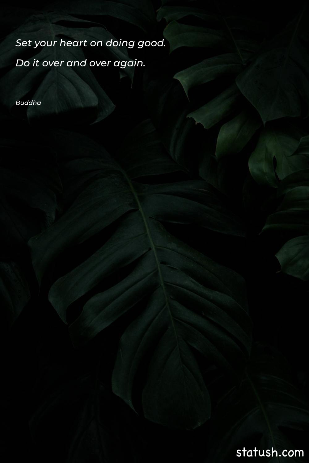 Set your heart on doing Patience Quotes at statush.com