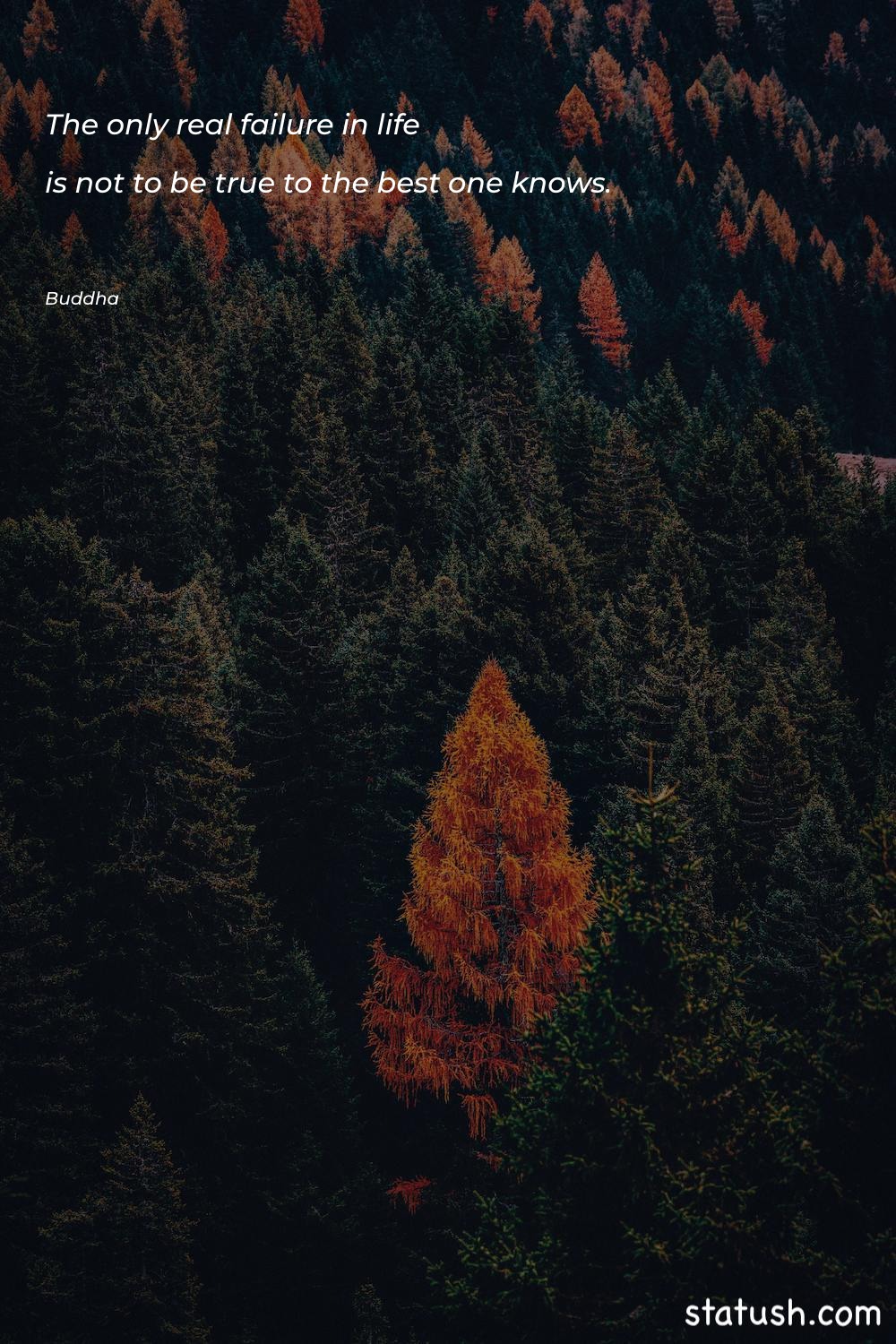 The only real failure in