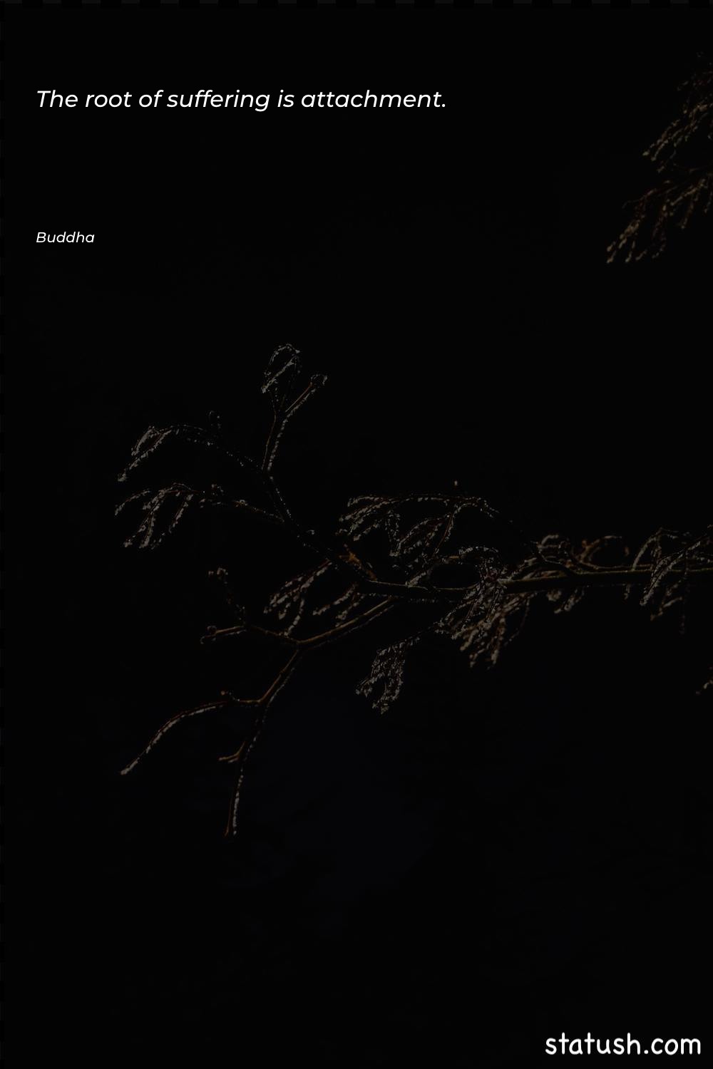 The root of suffering is