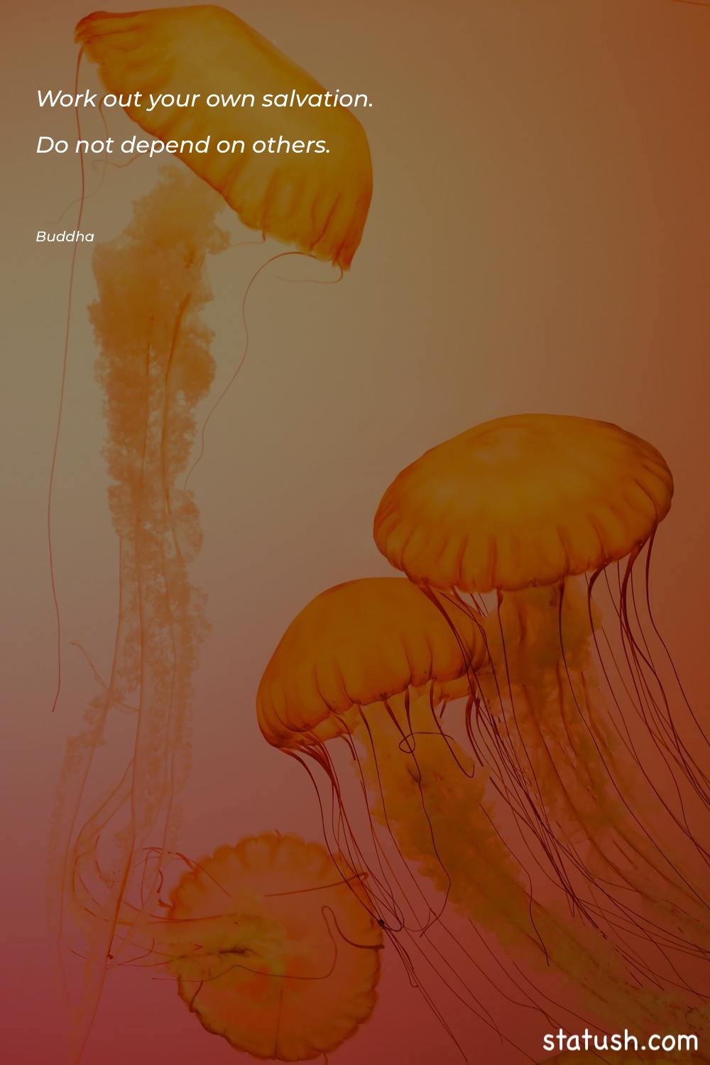 Work out your own salvation Intelligence Quotes at statush.com