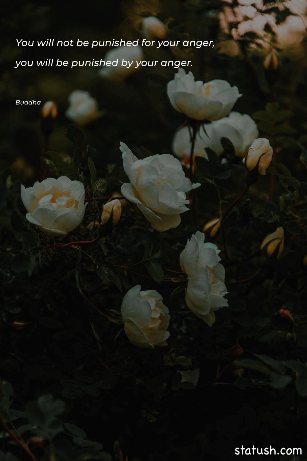 You will not be punished Anger Quotes at statush.com