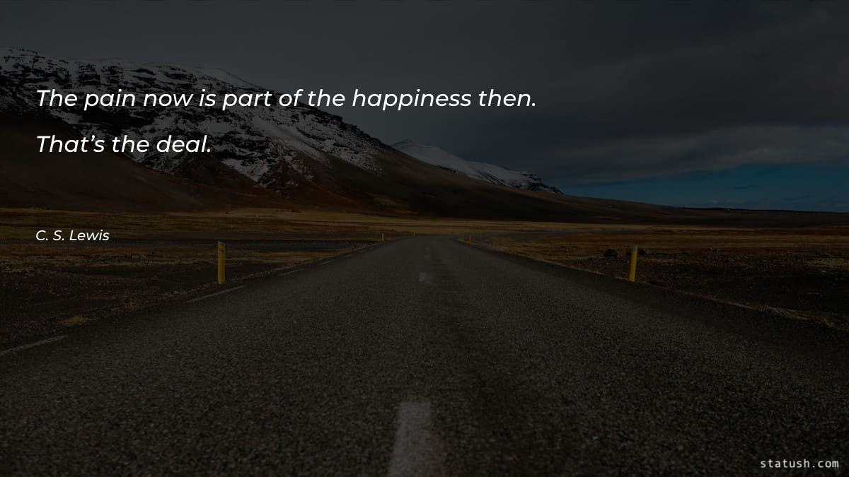 The pain now is part of the - Sympathy Quotes at statush.com