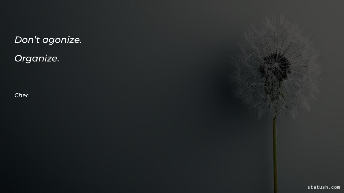 Don’t agonize. Organize Motivational Quotes at statush.com
