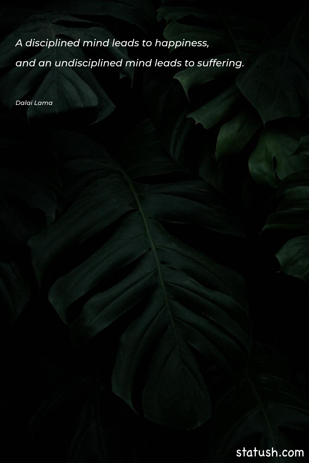 A disciplined mind leads to