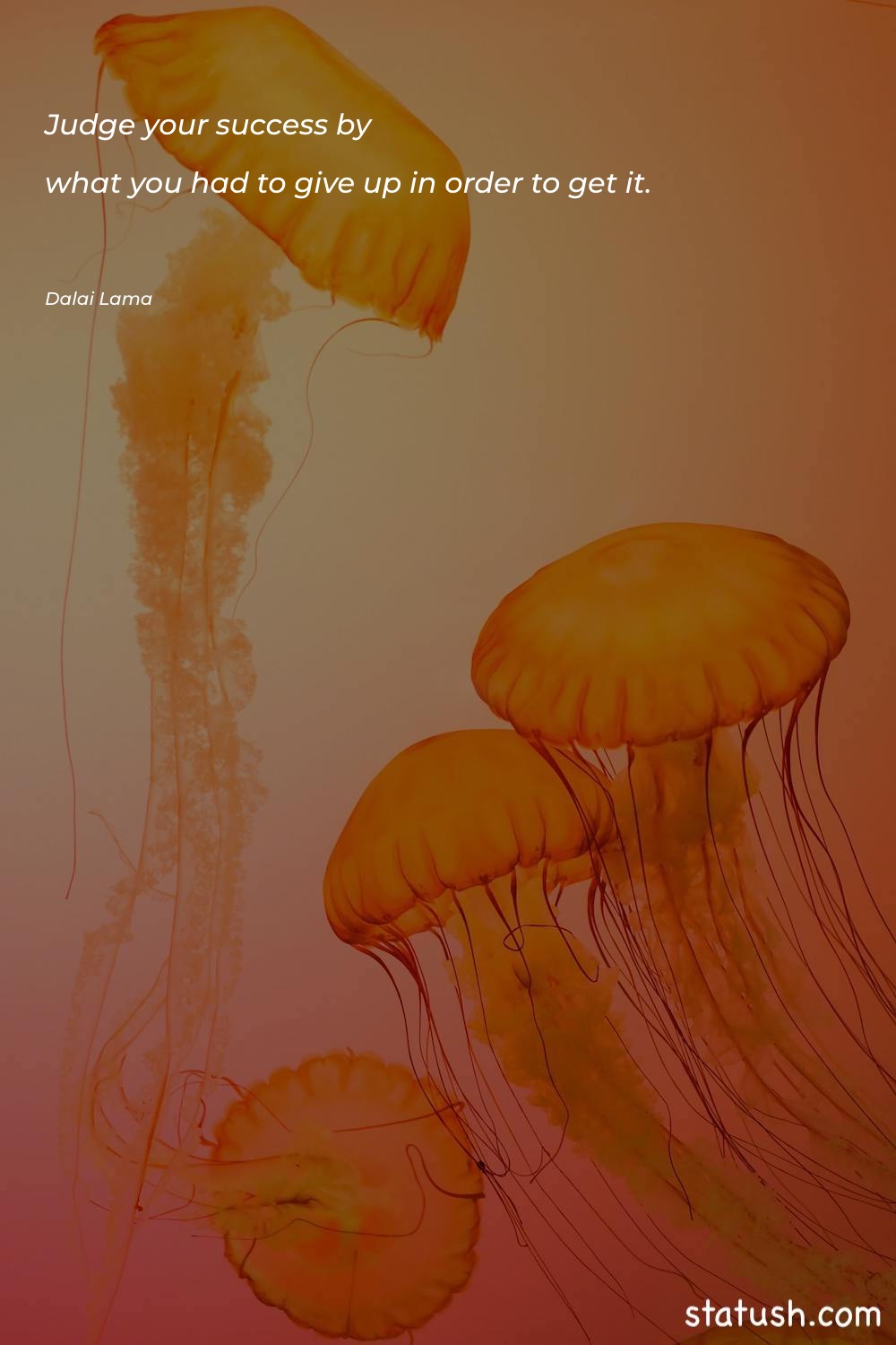 Judge your success by what