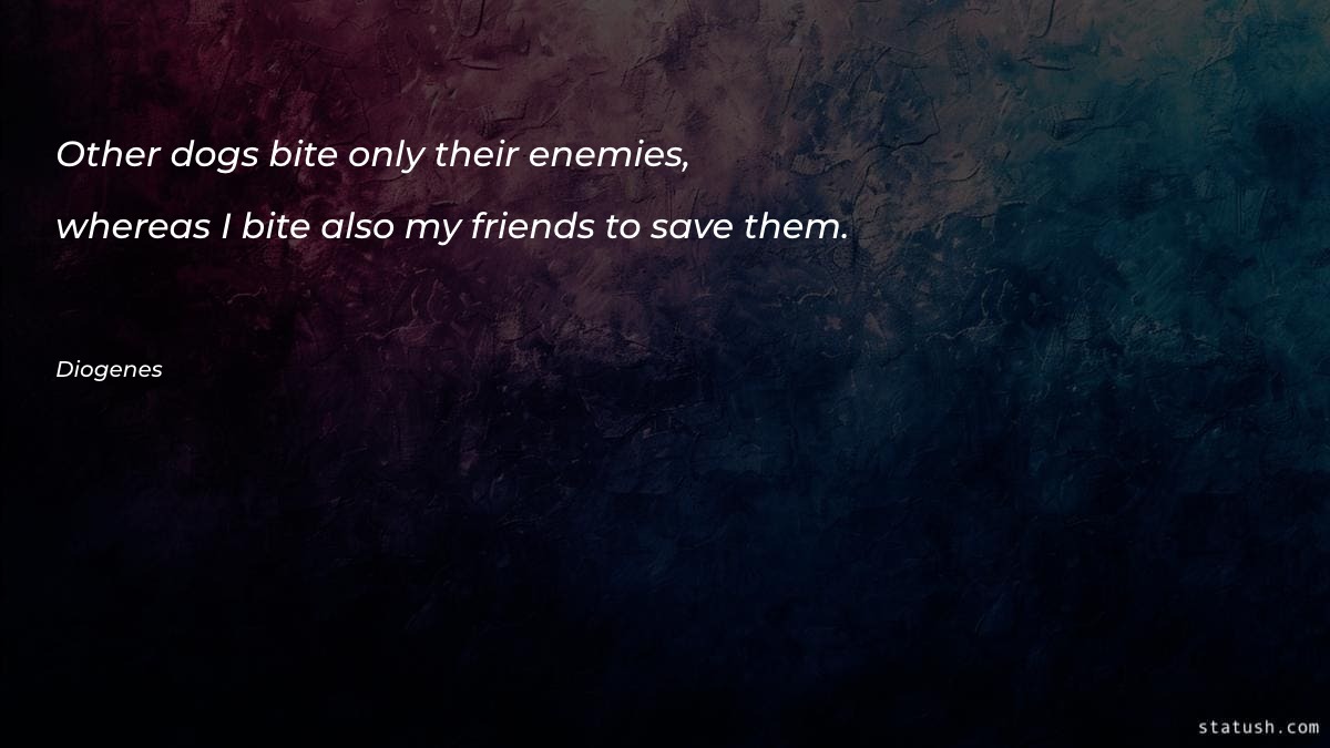 Other dogs bite only their Motivational Quotes at statush.com