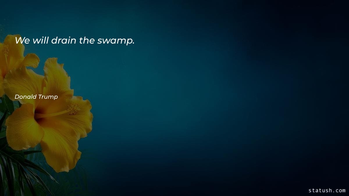 We will drain the swamp