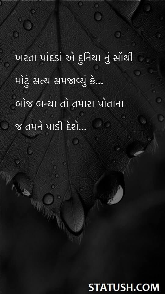 Falling leaves are the most in the world Gujarati Quotes at statush.com