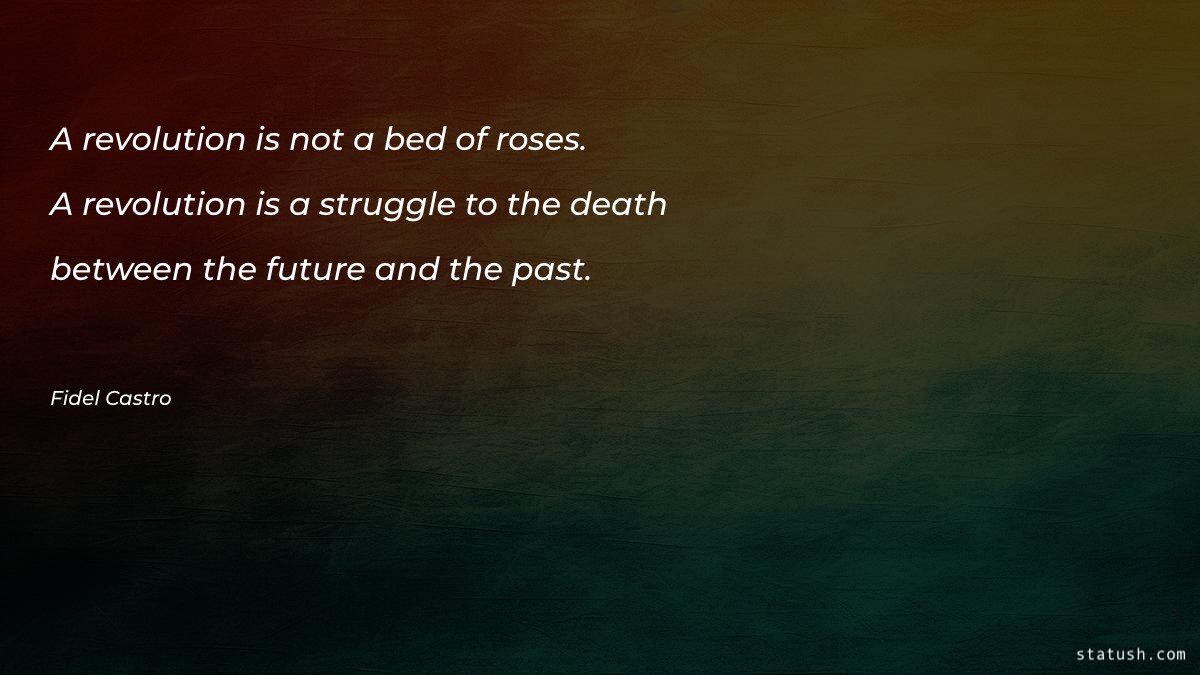 A revolution is not a