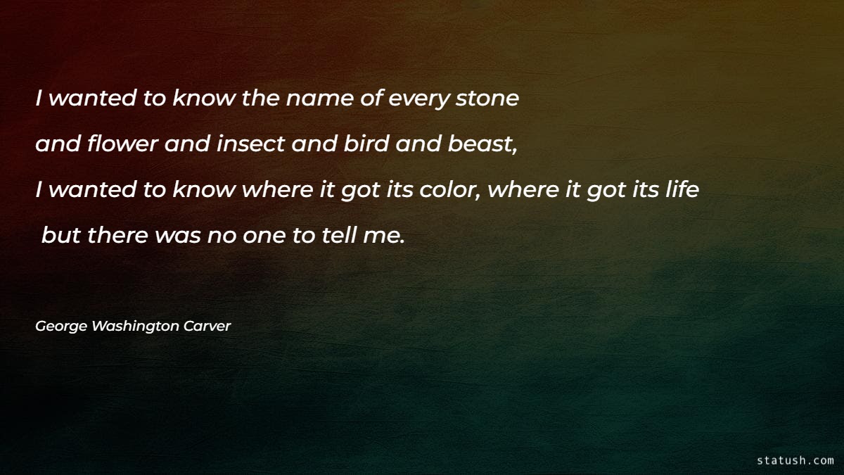 I wanted to know the name of every stone and flower Motivational Quotes at statush.com