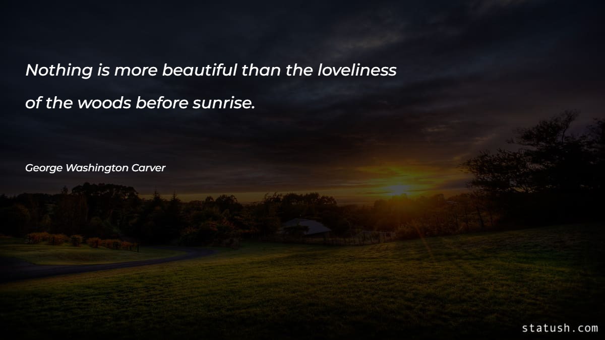 Nothing is more beautiful than the loveliness of the woods before sunrise - Motivational Quotes at statush.com