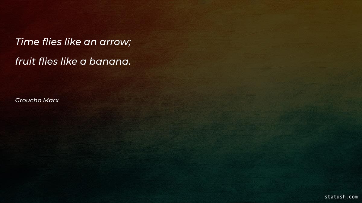 Time flies like an arrow