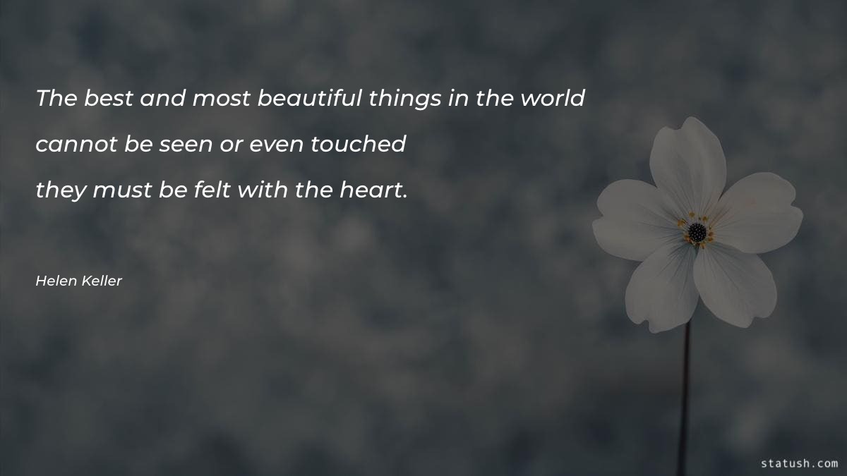 The best and most beautiful