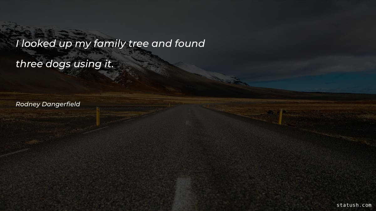 I looked up my family tree Family Quotes at statush.com