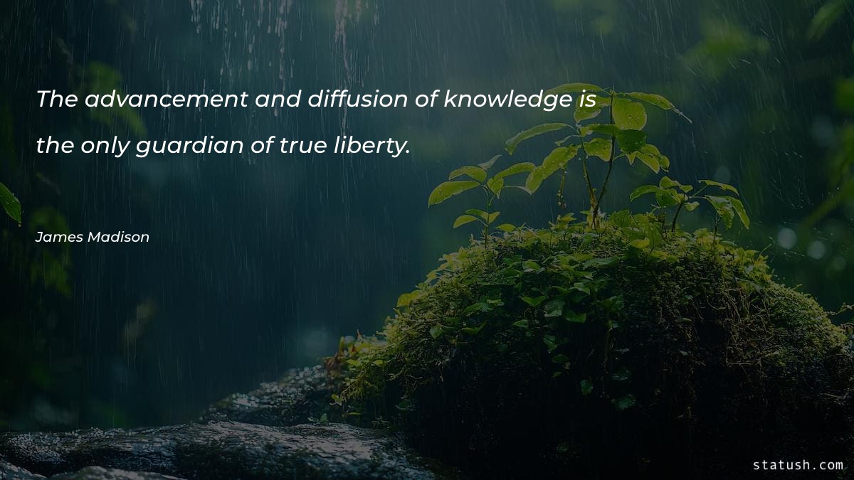 The advancement and diffusion of Motivational Quotes at statush.com