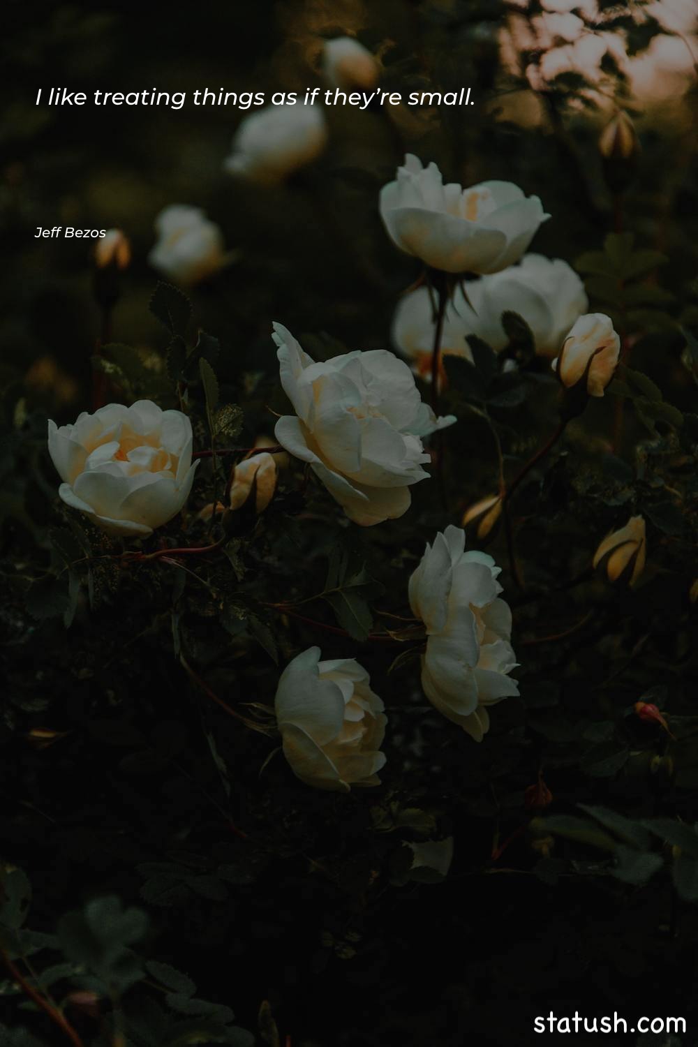 I like treating things as - Motivational Quotes at statush.com