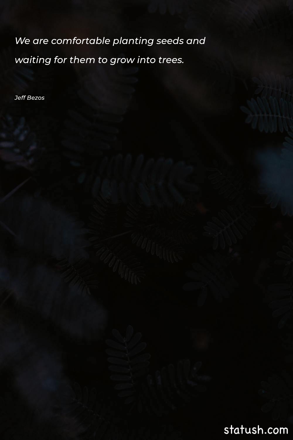 We are comfortable planting seeds Motivational Quotes at statush.com