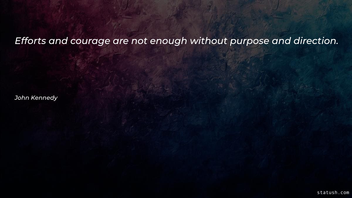 Efforts and courage are not