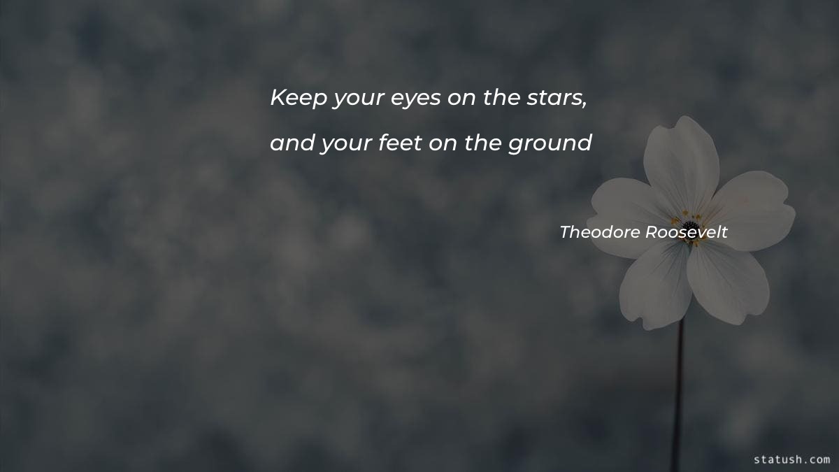 Keep your eyes on the stars  and your feet on the ground - Motivational Quotes at statush.com